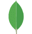 MongoDB